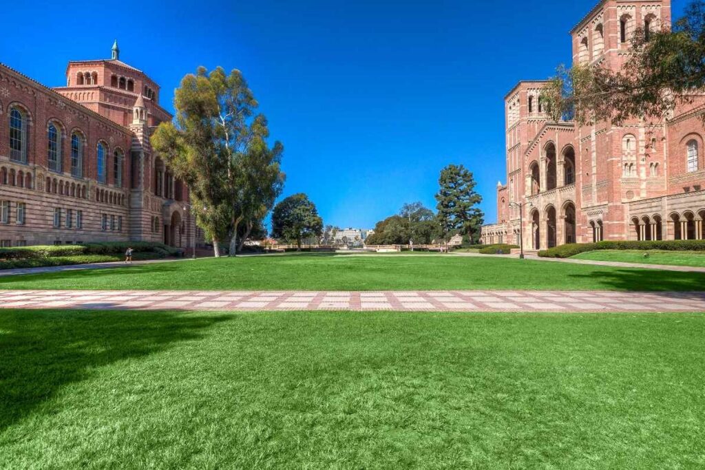 University of California, Los Angeles